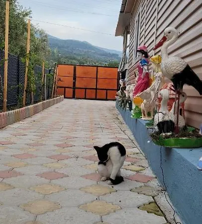 Appartamento Belvu's