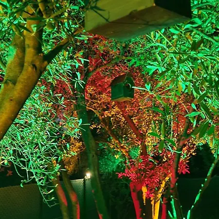 Belvue's Apartamento