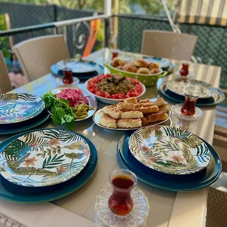 Belvue's Φετιγιέ