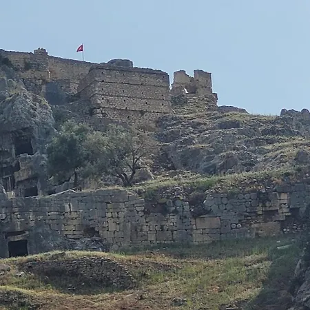 Belvue's * Φετιγιέ